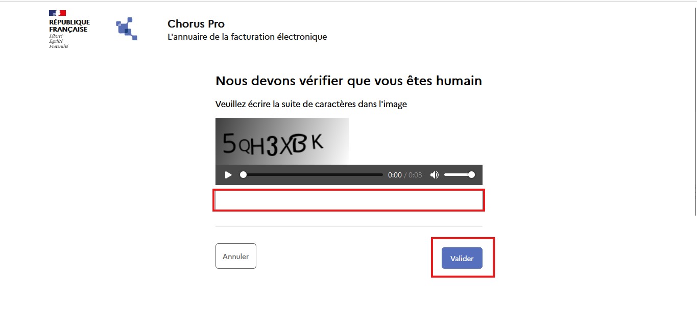 Saisir les caractères du CAPTCHA dans la barre de saisie afin de démontrer que vous n'êtes pas un robot. Puis cliquer sur le bouton Valider